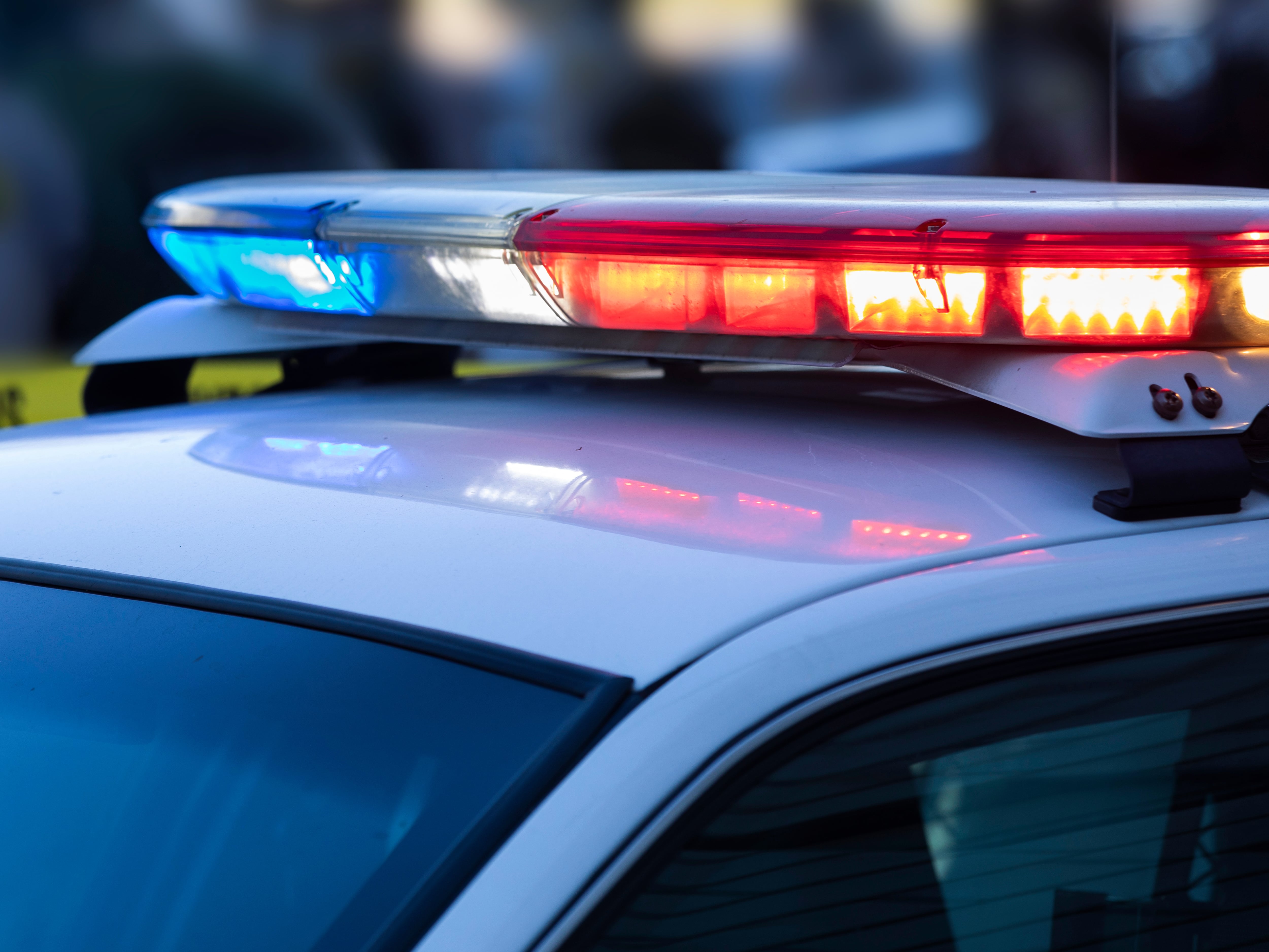 Two critically injured after car strikes Amish buggy in Hillsdale County