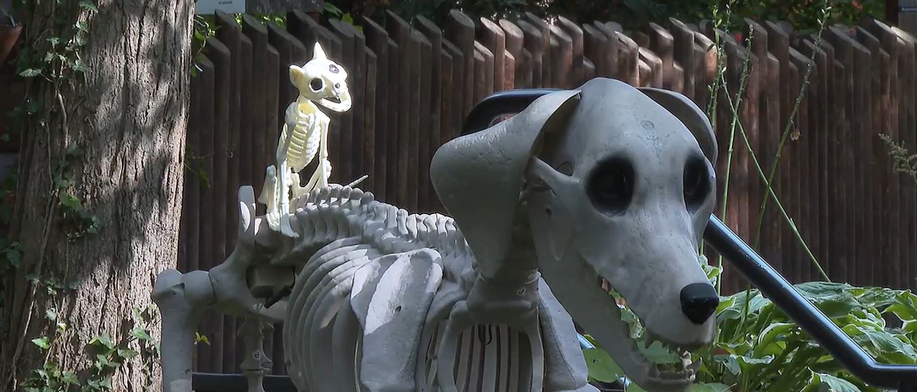 Potter Park Zoo partners with U-M Health-Sparrow for Boo at the Zoo