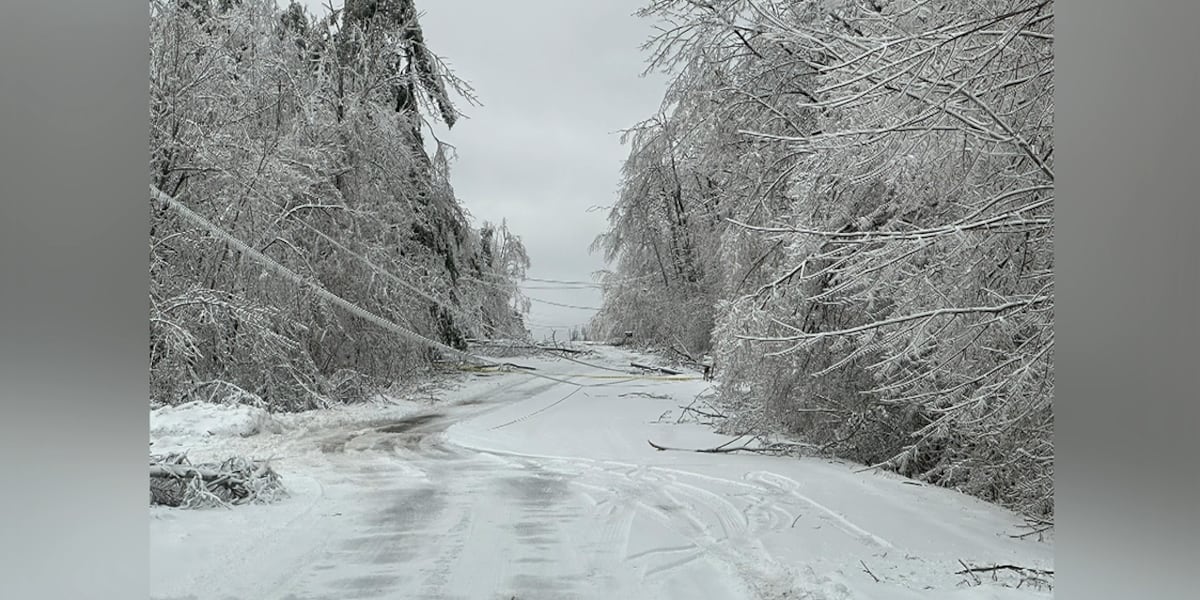 FEMA denies Michigan’s appeal for disaster aid after March ice storm