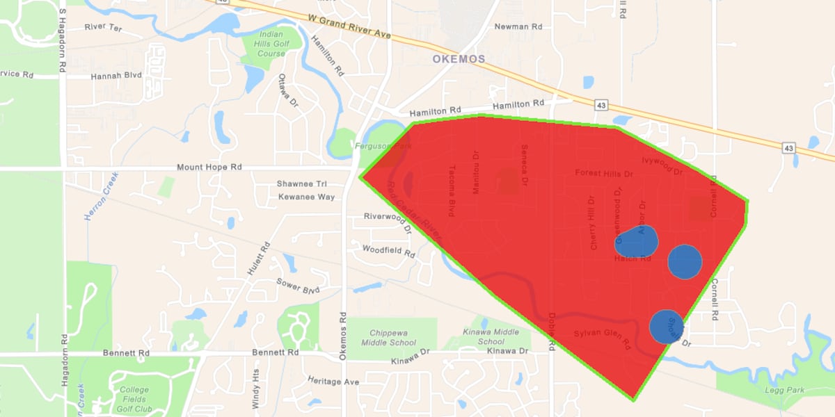 Power outages leave 1,000 without power, schools closed in Okemos