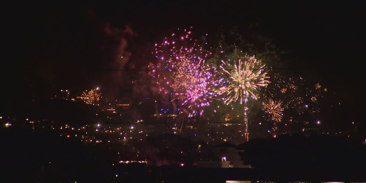 Michigan officials remind residents of firework regulations ahead of holidays