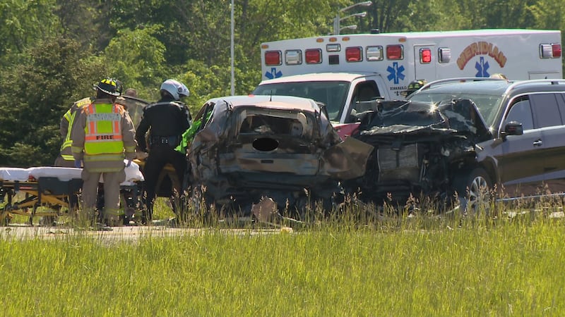 Police identify driver killed in I-96 accident