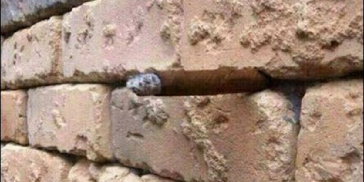 how to keep your car from smelling like cigarette smoke The Only REAL Way to Remove Cigarette & Smoke Smell From Your Car how to keep your car from smelling like cigarette smoke The Only REAL Way to Remove Cigarette & Smoke Smell From Your Car