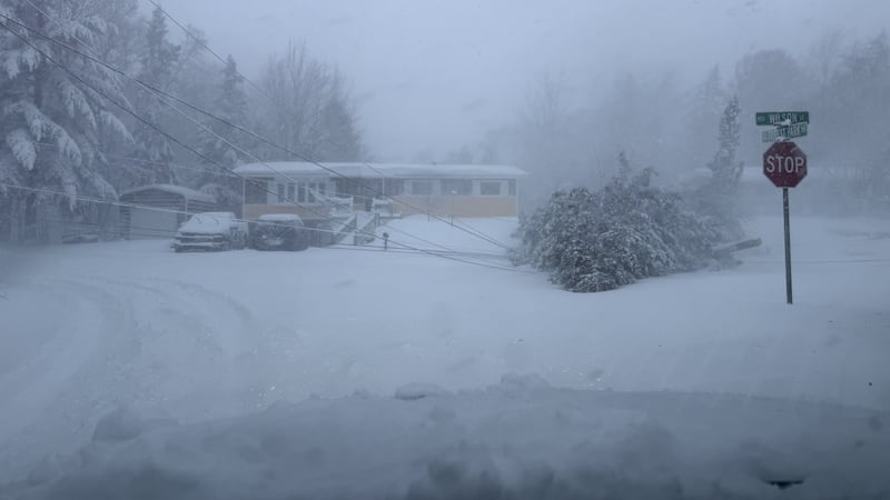 TV6's Digital Content Director met a downed tree and lines at Wilson Street and Forest Park...