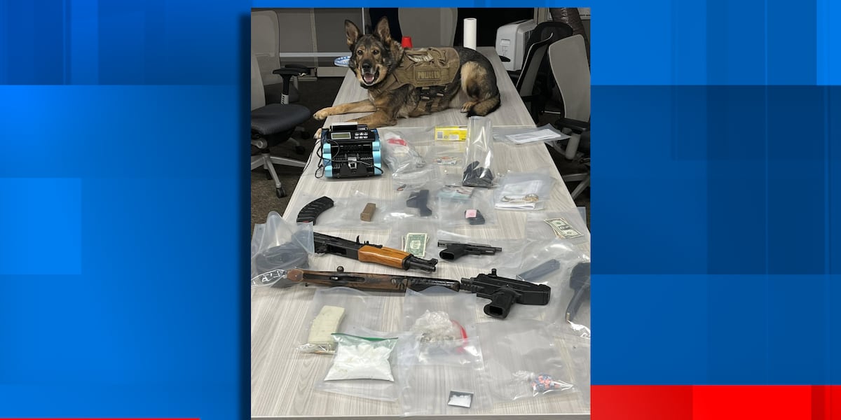 Lansing police seize meth, fentanyl, cocaine and guns in raid
