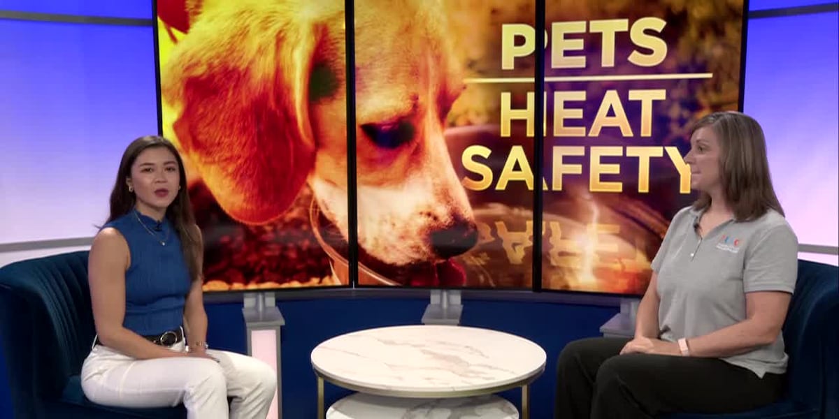 Mid-Michigan Matters: Protecting pets in high heat