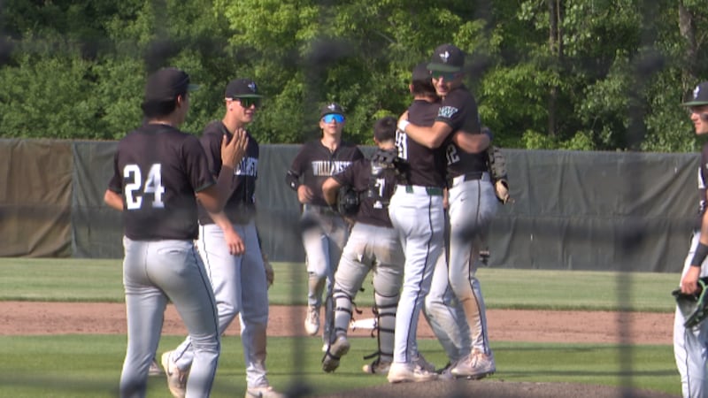 Williamston baseball