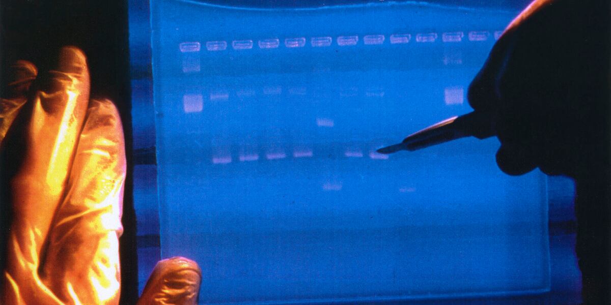 Scientists finally finish decoding entire human genome