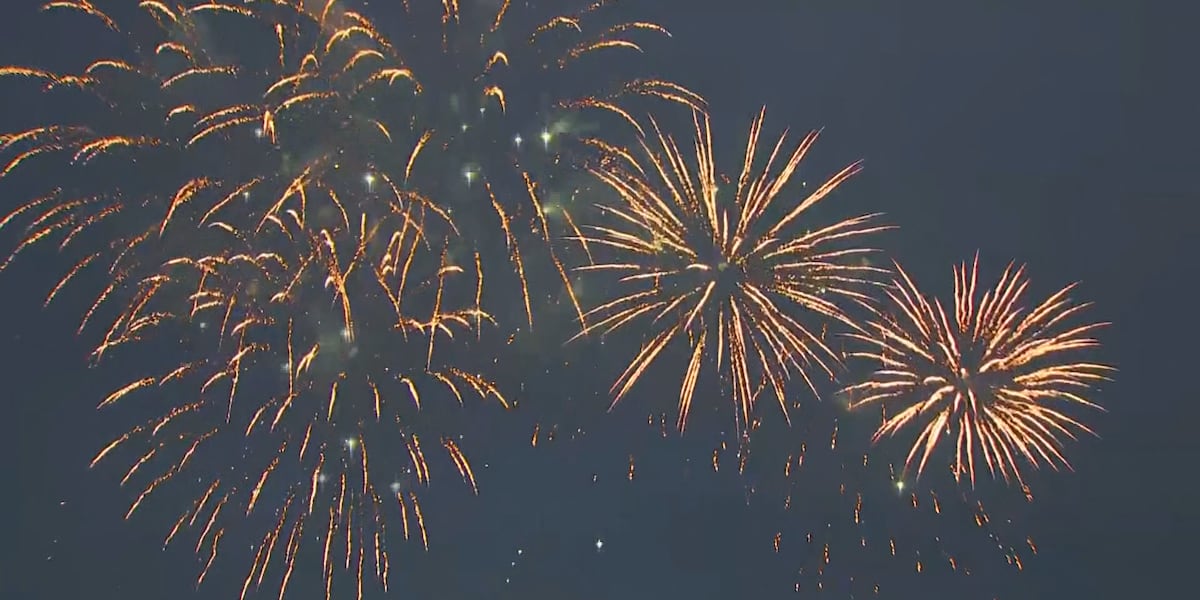 Vets urge pet owners to prepare for Fourth of July fireworks anxiety