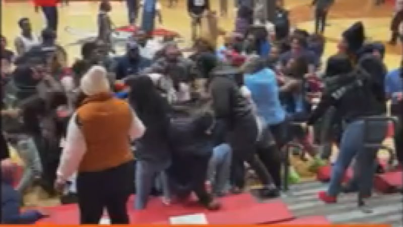 Brawl breaks out at Lansing Everett basketball game