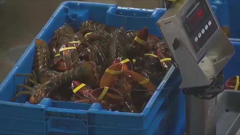 $400,000 worth of lobster was stolen while en route to Costco.