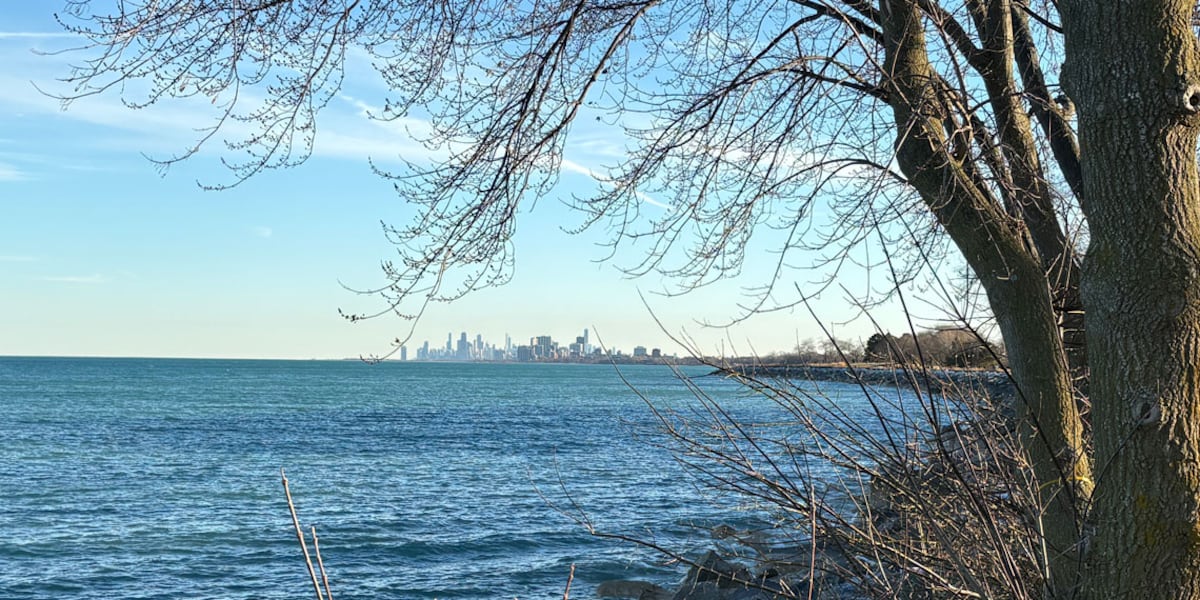 MSU seismologist calls Lake Michigan earthquake ‘totally unexpected'