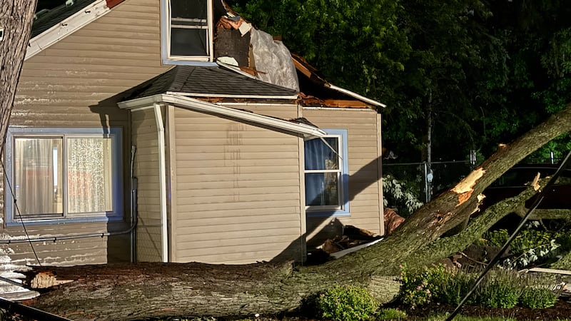 Tree falls onto house on Armstrong Rd in Lansing