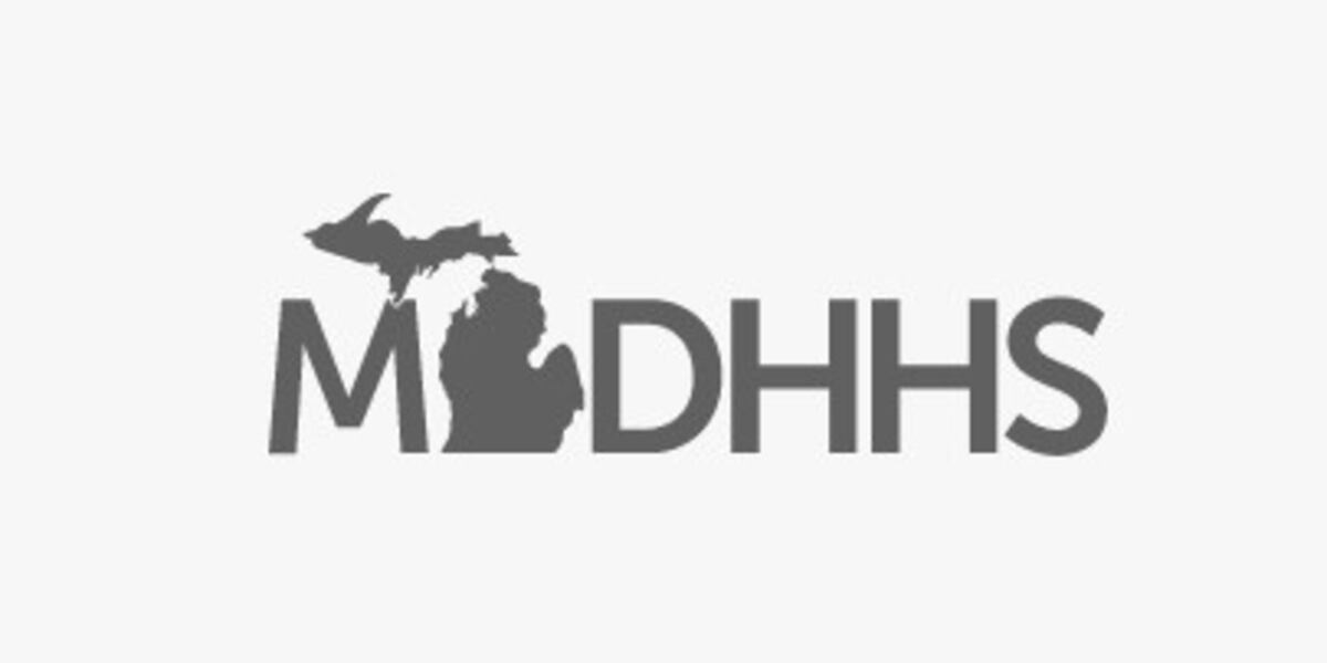 MDHHS launches new way to track state benefits applications