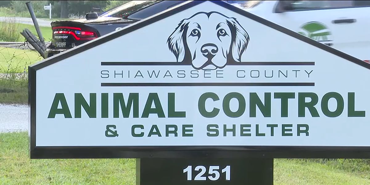‘No kill’ animal shelter in Owosso reopens after community effort
