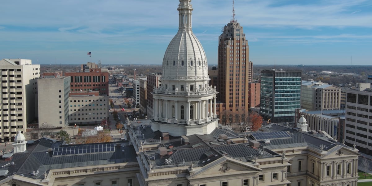 Proposed sex education standards spark debate at Michigan Capitol – WILX