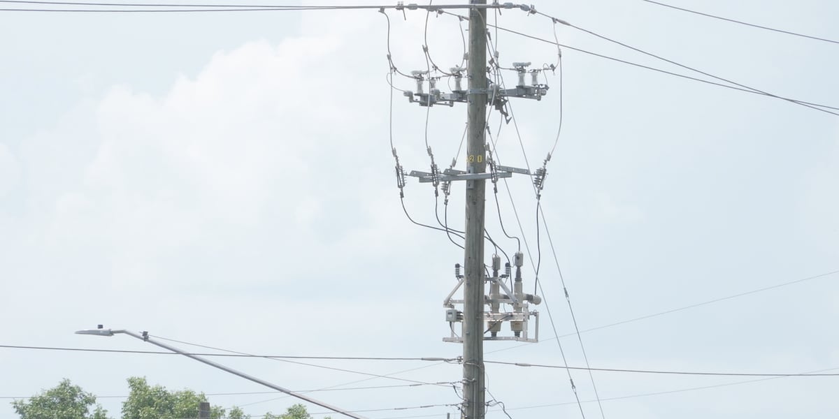 Michigan bill would allow high-voltage power lines along highway corridors