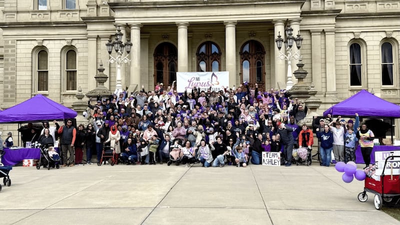 The Michigan Lupus Foundation