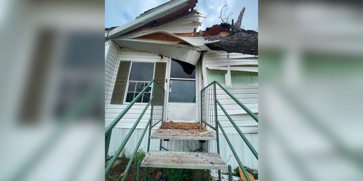 Georgia woman says tree service dropped tree on her home