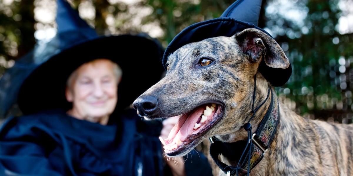 MDARD reminds pet owners to keep animals safe this Halloween