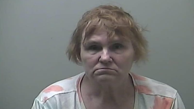 Babysitter charged after family accuses her of sexually abusing their children for years, officials say Babysitter charged after family accuses her of sexually abusing their children for years, officials say