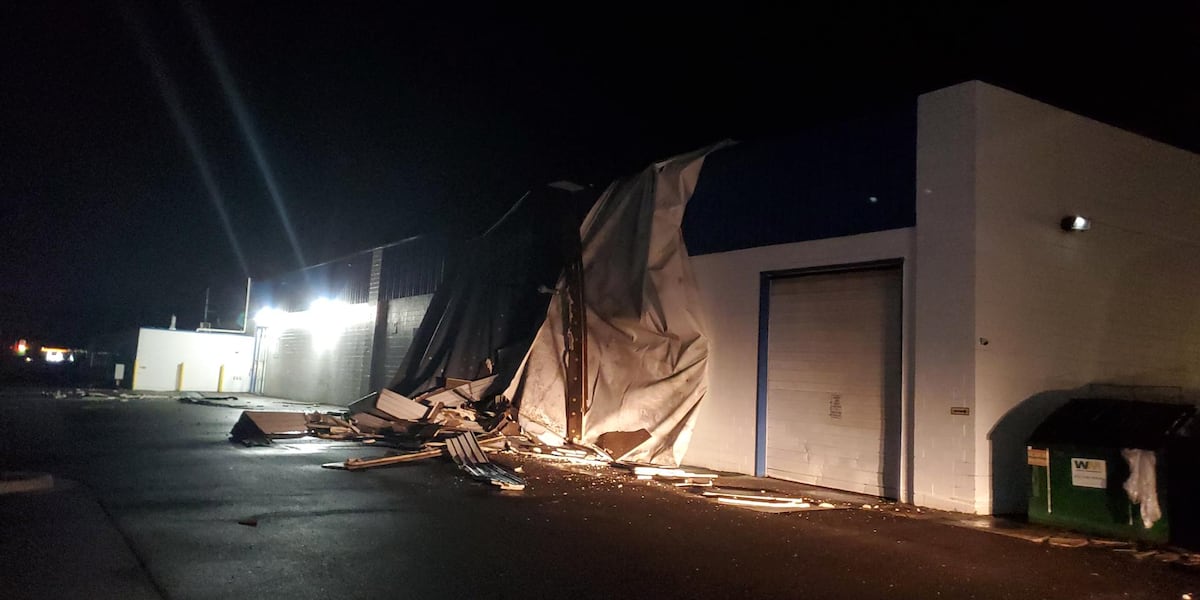 Severe storms leave trail of damage throughout Mid-Michigan Severe storms leave trail of damage throughout Mid-Michigan