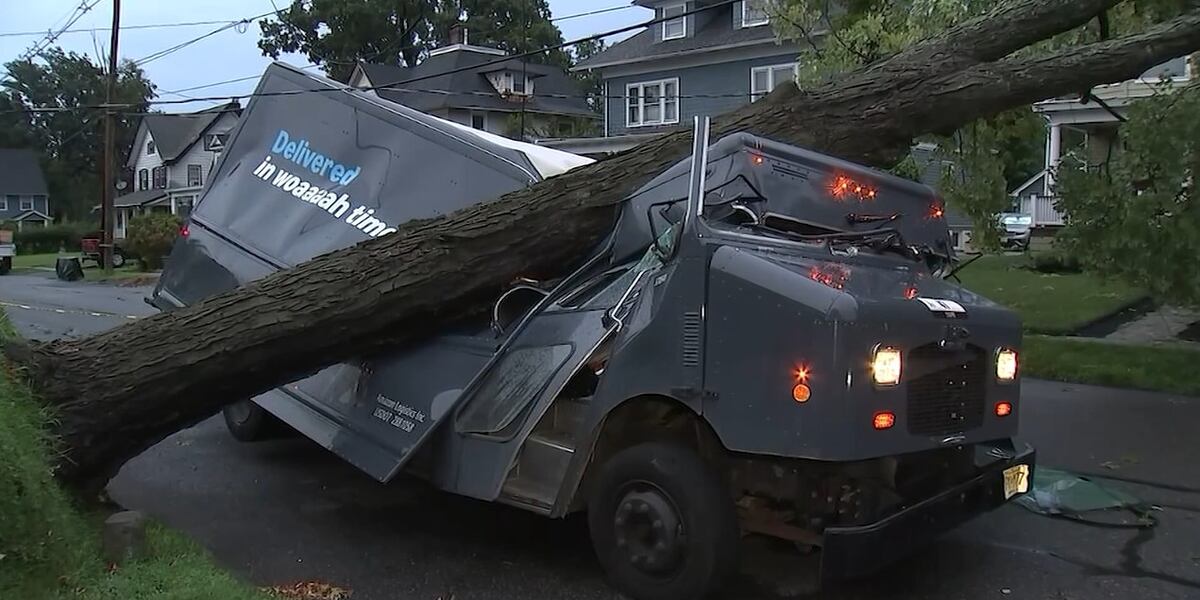 Massive fallen tree crushes Amazon delivery truck, trapping worker inside