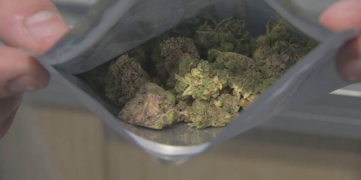 Major cannabis company to end operations in Michigan as industry slows