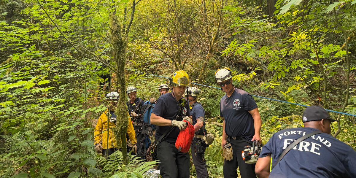 Worker killed by unrelated falling tree in Portland
