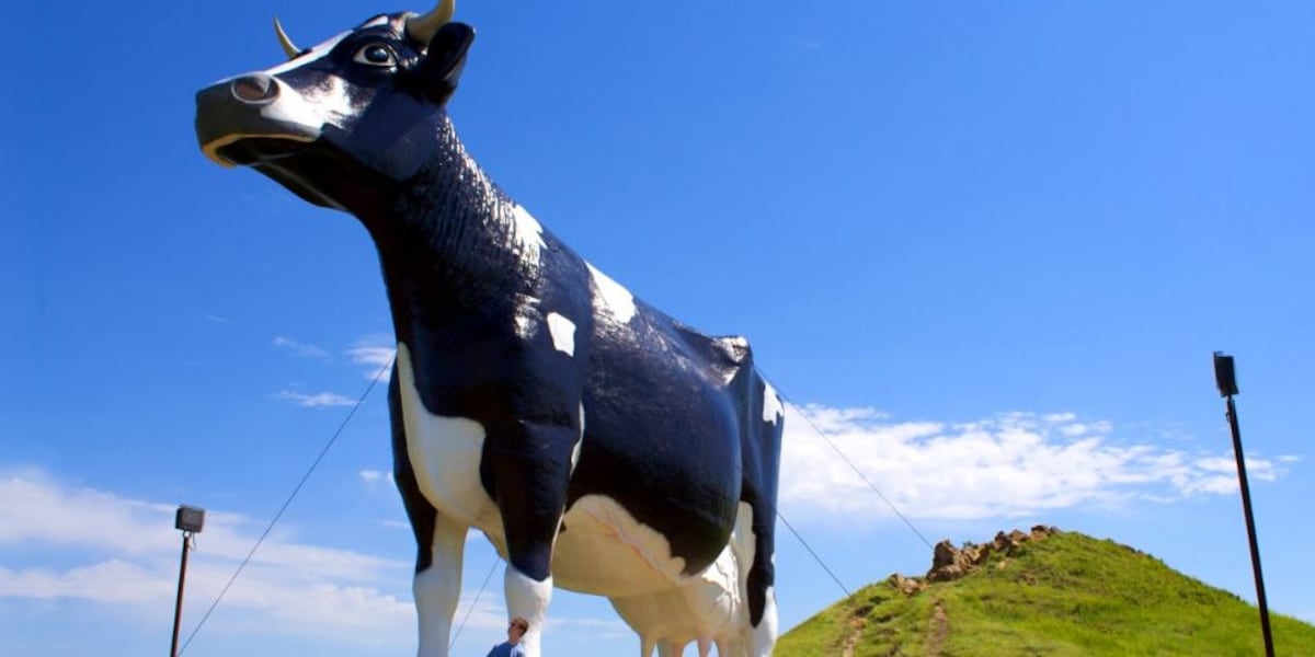 Red Cow Block Cow blocks US-131