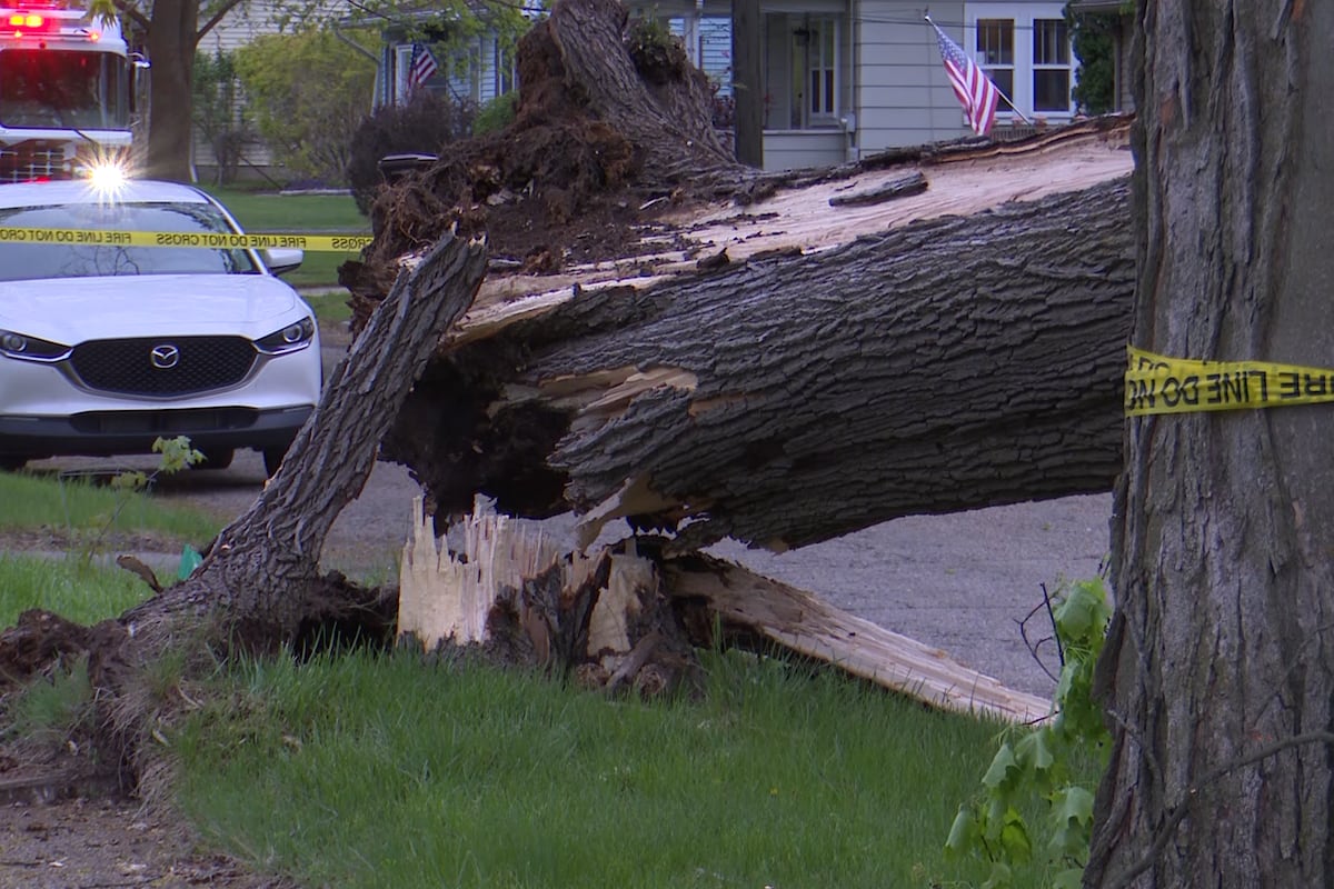 Exploding Tree Risk Michigan Downed trees, power lines and damage reported after storms sweep across ...
