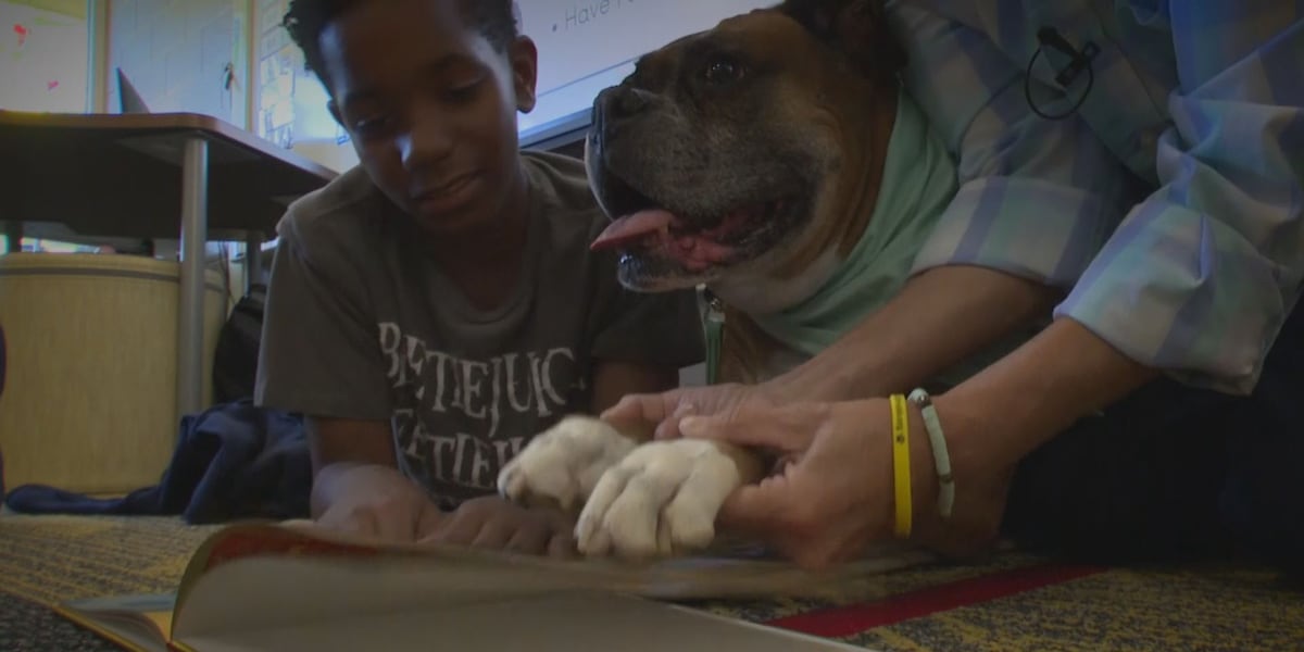 Dogs help struggling readers in Mid-Michigan schools