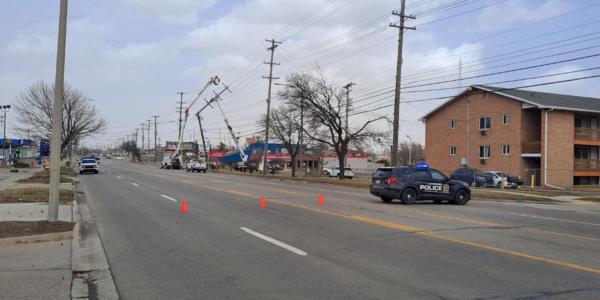 多个污点极点导致跨米奇根的道路封闭 多个污点极点导致跨米奇根的道路封闭