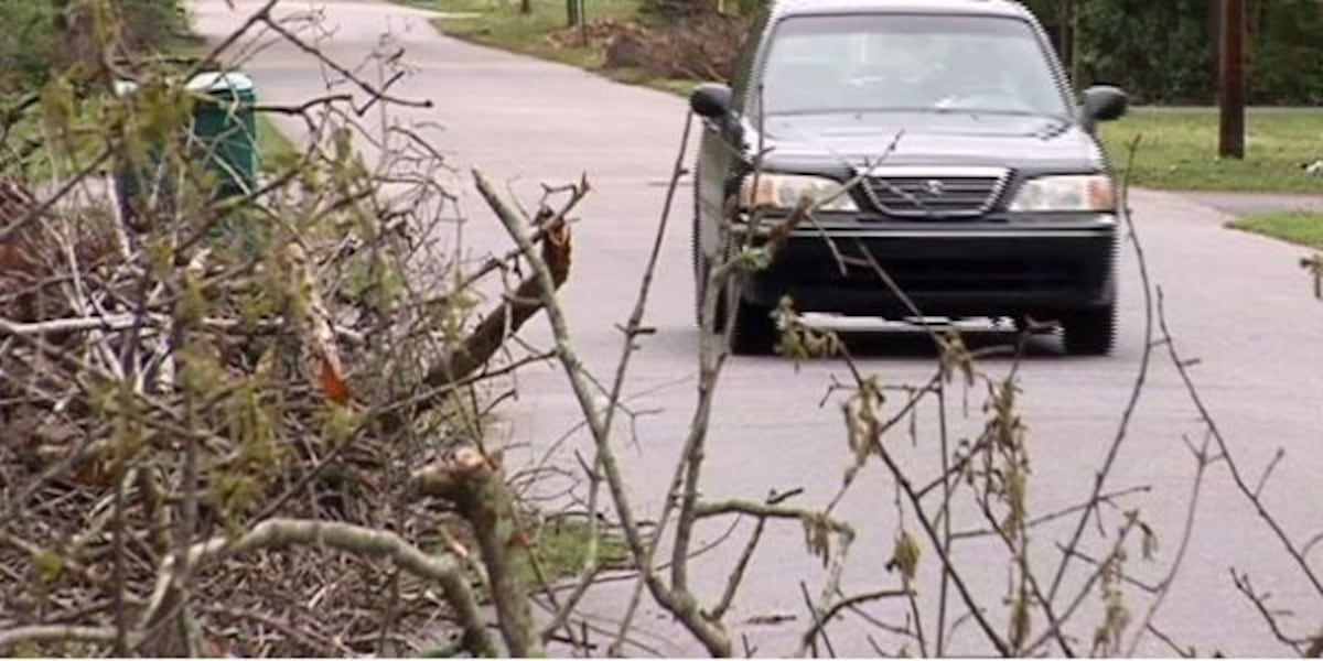 East Lansing offering special storm debris pickup July 8-10