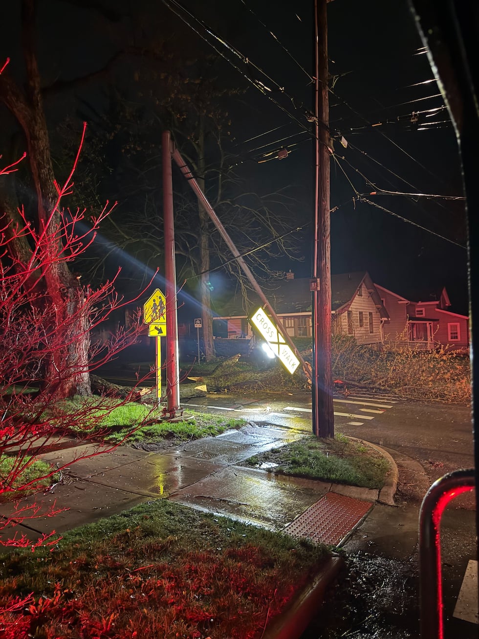 Downed tree and crosswalk sign in Ann Arbor