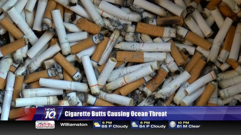 day 2 no cigarettes World No Tobacco Day: Raising Awareness day 2 no cigarettes World No Tobacco Day: Raising Awareness