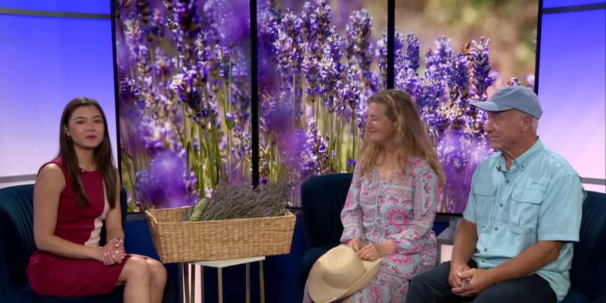 Mid-Michigan Matters: This year's lavender season