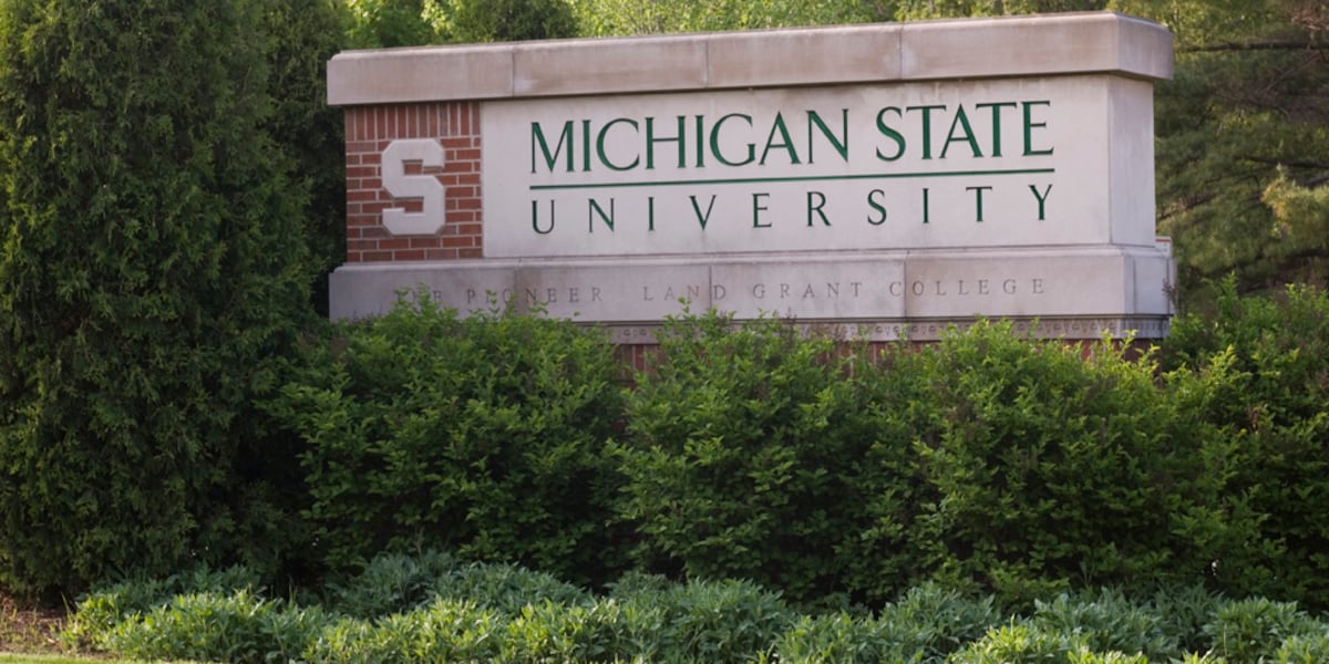 MSU ranks in top 5% of universities worldwide in 2026 rankings