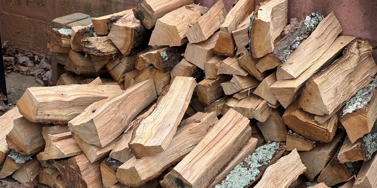 Michigan officials warn residents not to transport firewood over Labor Day