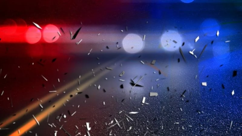 Two people were arrested after a car chase ended with a crash.