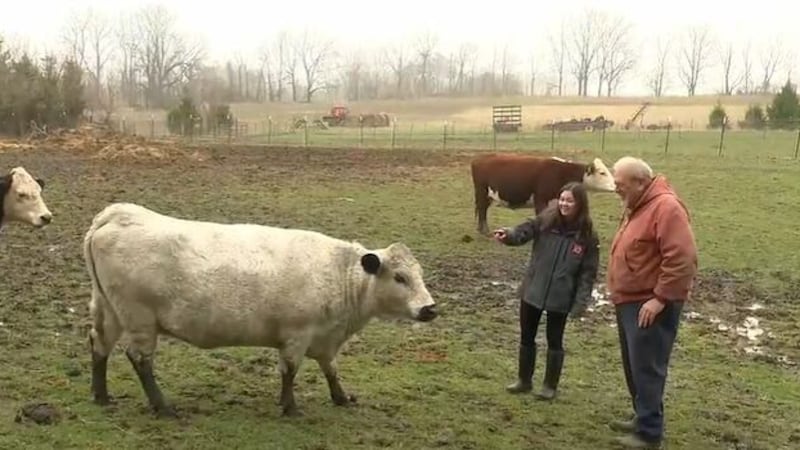 Mitten Misfits Farm Sanctuary in Grand Ledge takes in farm animals with nowhere else to turn.
