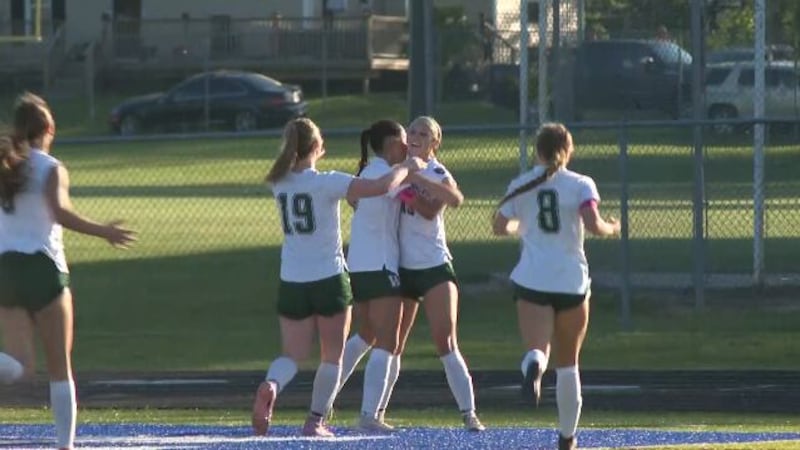Williamston girls soccer fell in the district finals to Goodrich 2-1 on Friday evening.