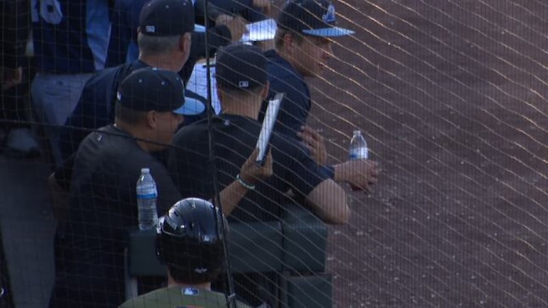 Bryce Rainer is the shortstop for the Detroit Tigers' High-A affiliate West Michigan Whitecaps.