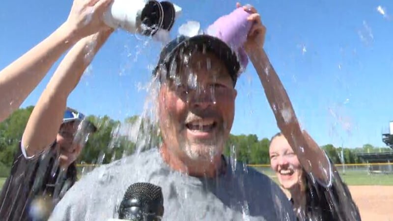 Dansville softball won a district title with a 15-0 win over Bellevue on Friday afternoon.