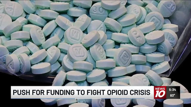 The Michigan Opioids Task Force presented its budget proposal to a state House subcommittee...
