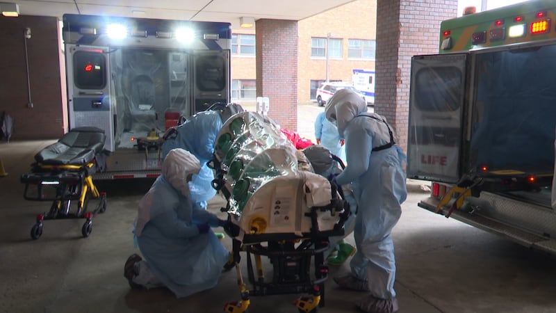 Infectious diseases like Ebola and Hantavirus rarely touch American soil