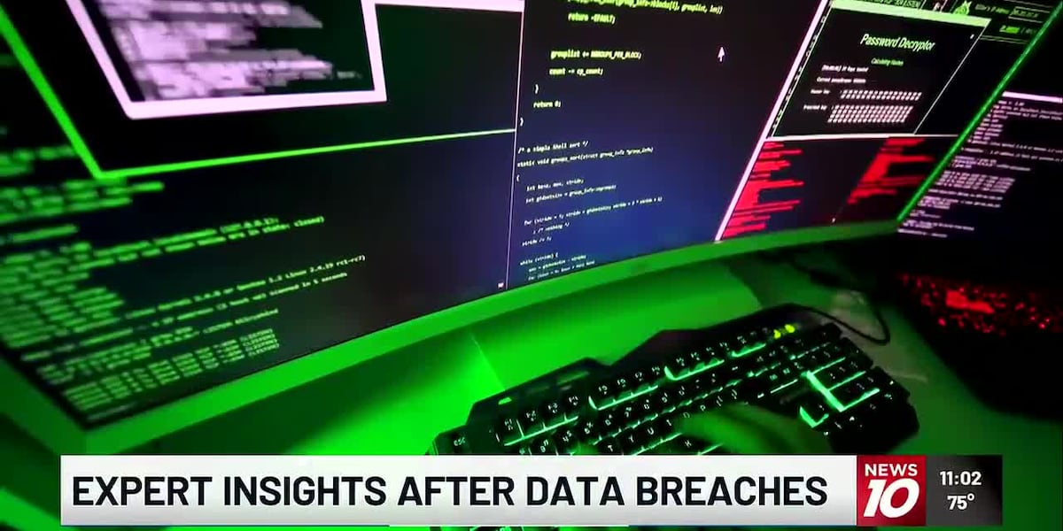 Data breaches are becoming more common, what can you do to save your information