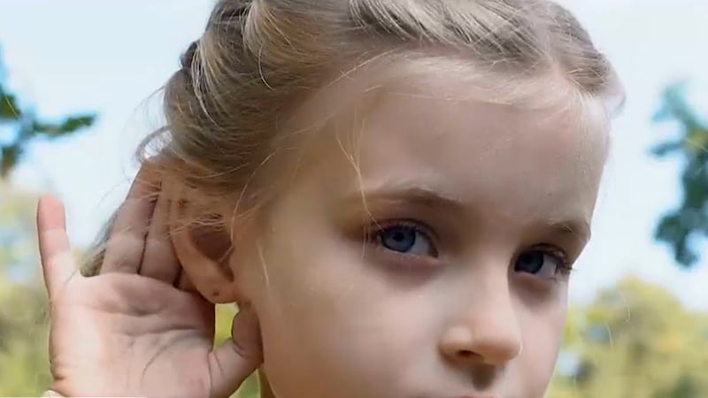 The impact of hearing loss can be profound. It can lead to the loss of communication, social...